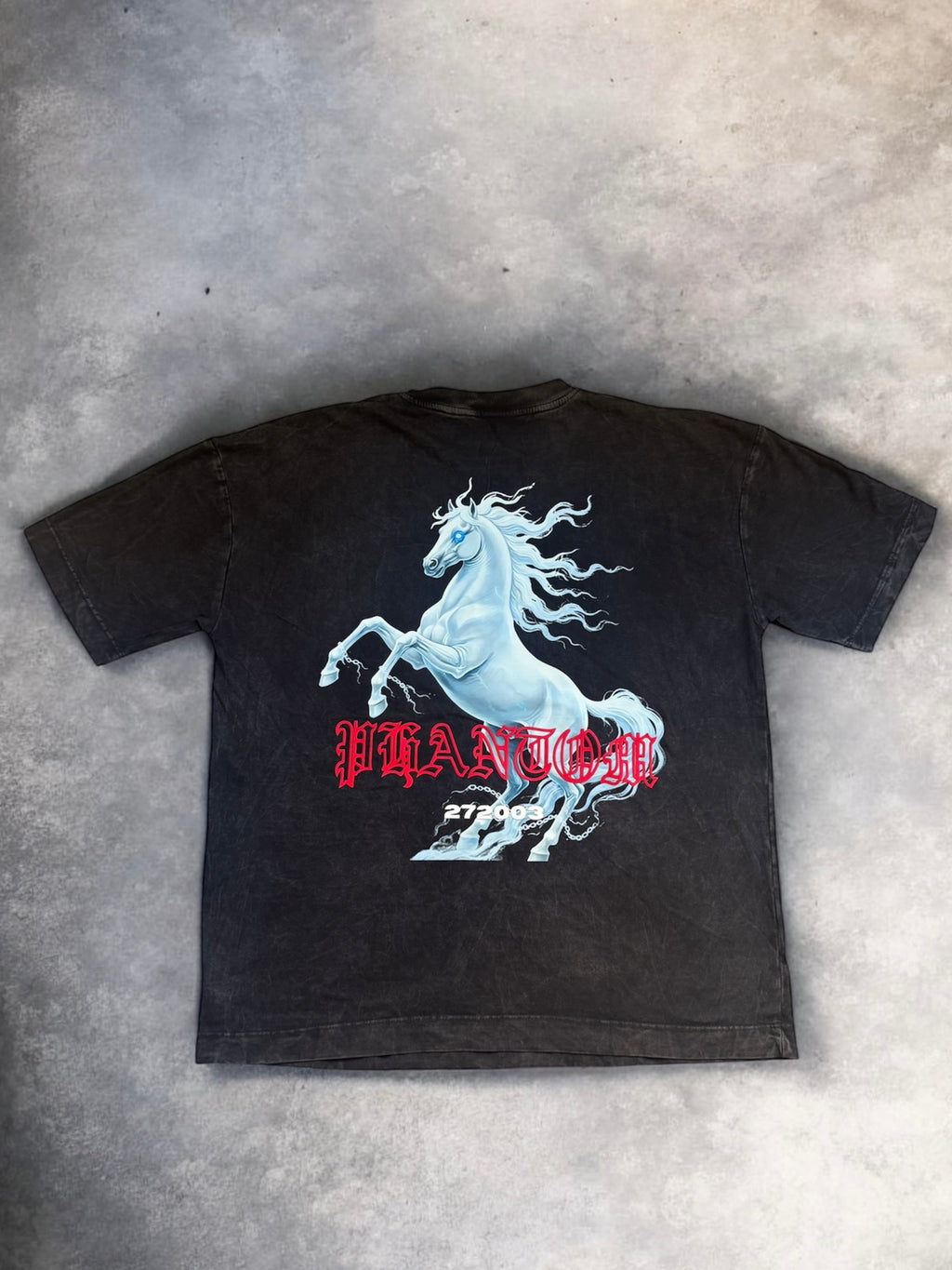 PEGASUS TSHIRT ACID WASH