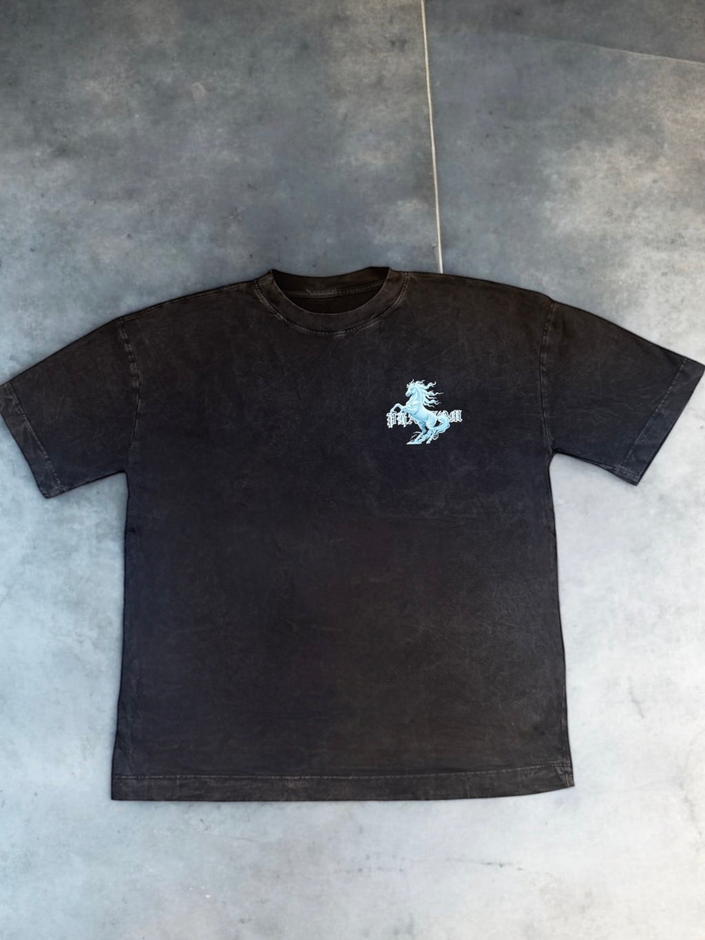 PEGASUS TSHIRT ACID WASH